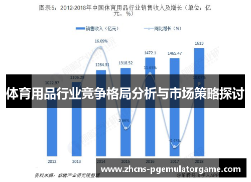 体育用品行业竞争格局分析与市场策略探讨