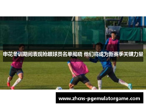 申花冬训期间表现抢眼球员名单揭晓 他们将成为新赛季关键力量