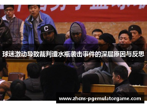 球迷激动导致裁判遭水瓶袭击事件的深层原因与反思