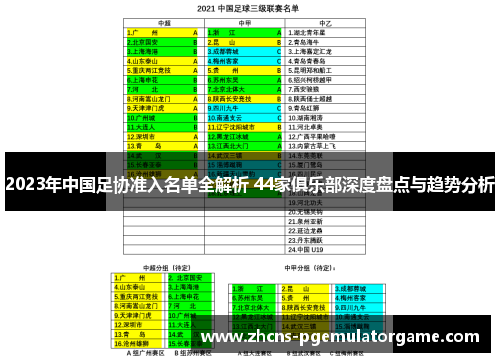 2023年中国足协准入名单全解析 44家俱乐部深度盘点与趋势分析