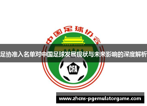 足协准入名单对中国足球发展现状与未来影响的深度解析
