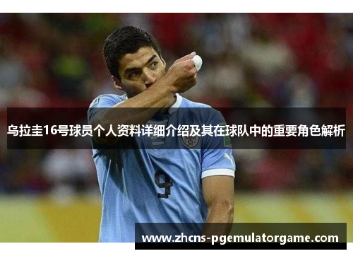 乌拉圭16号球员个人资料详细介绍及其在球队中的重要角色解析