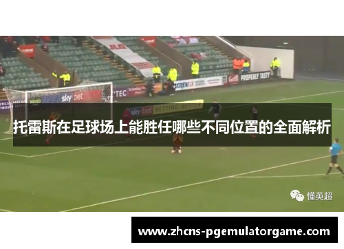 托雷斯在足球场上能胜任哪些不同位置的全面解析