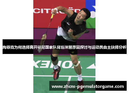 陶菲克为何选择离开印尼国家队背后深层原因探讨与运动员自主抉择分析