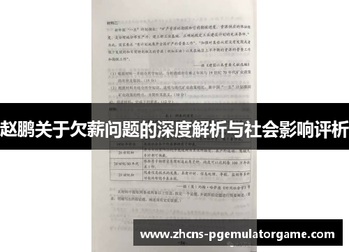 赵鹏关于欠薪问题的深度解析与社会影响评析 赵鹏关于欠薪问题的深度解析与社会影响评析