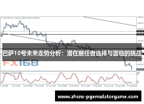 巴萨10号未来走势分析：潜在继任者选择与面临的挑战