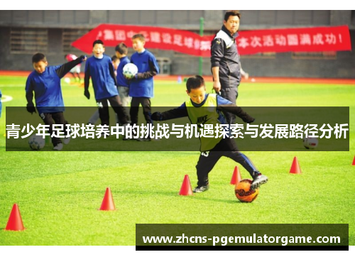 青少年足球培养中的挑战与机遇探索与发展路径分析
